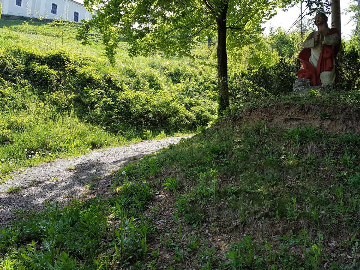 Gasthof Restaurant Steirereck'N Schwanberg المظهر الخارجي الصورة